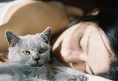 宠物猫咪喜欢和人一起睡觉的心理