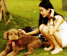 怎么看宠物幼犬睡觉冷不冷