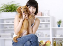 城市宠物死亡如何处理