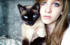 如何给猫咪剪指甲
